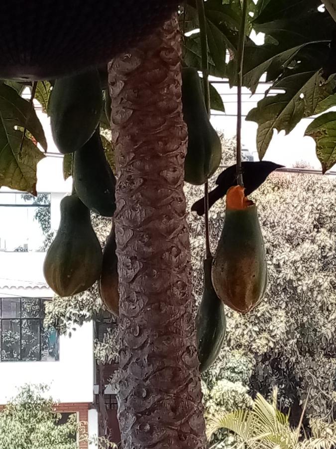 Posada Peregrinus Lima Exterior foto